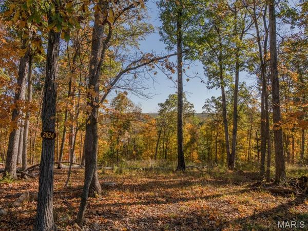 2824 Morgan Lake Drive , Innsbrook, MO 63390