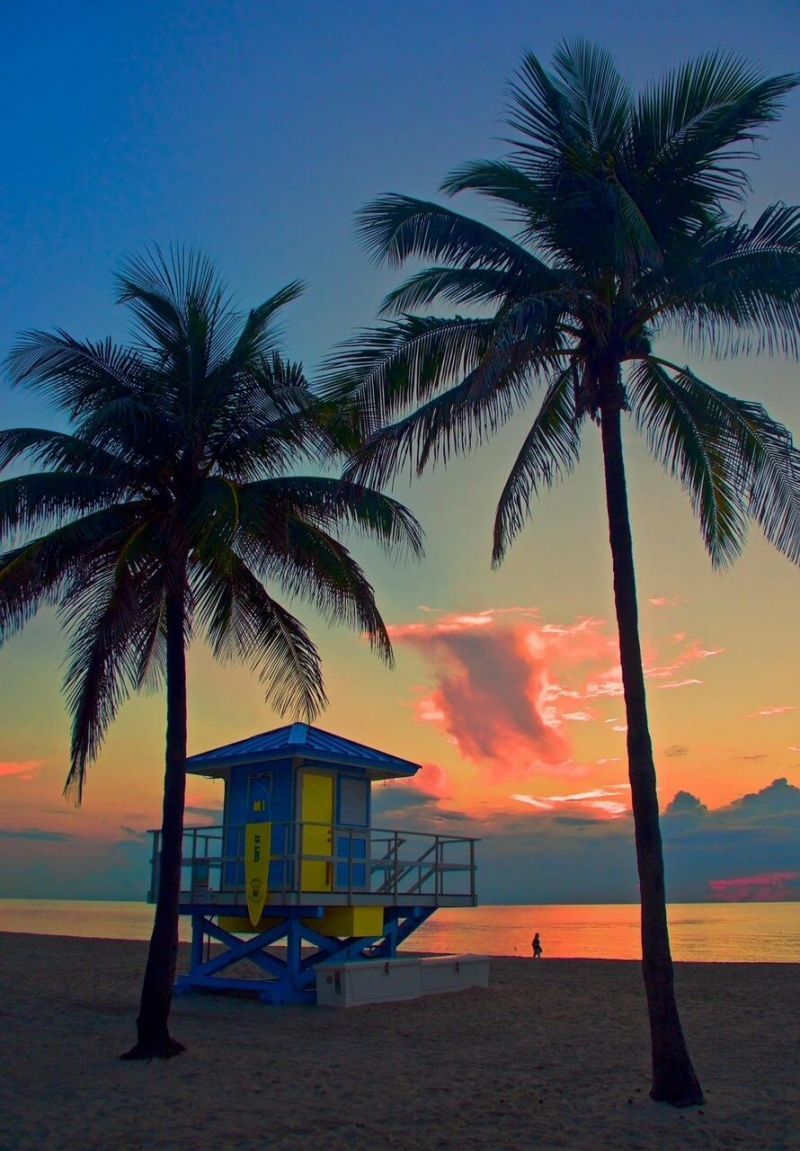 2600 N Surf Road, Unit 103, Hollywood, FL 33019 Photo