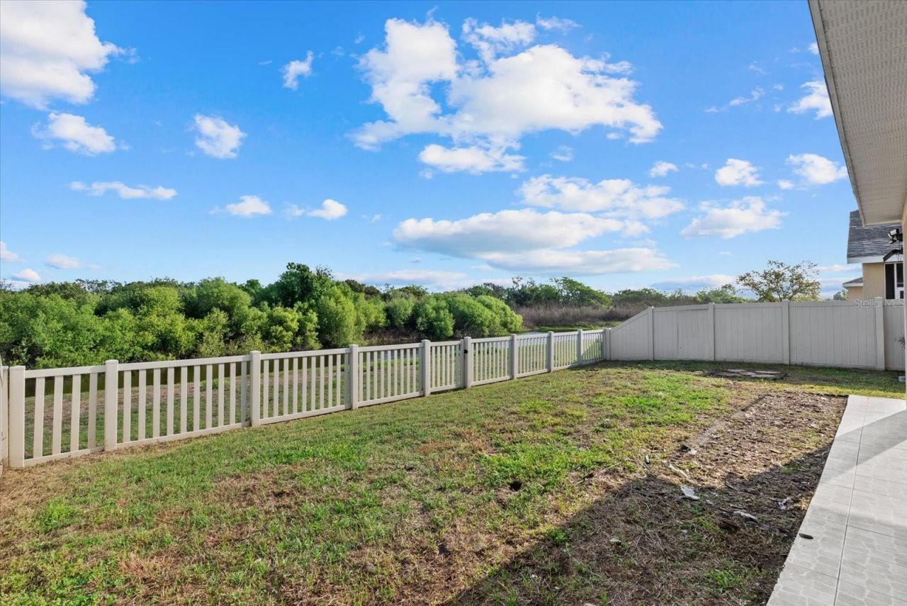 12808 Hampton Hill Drive, Riverview, FL 33578 Photo