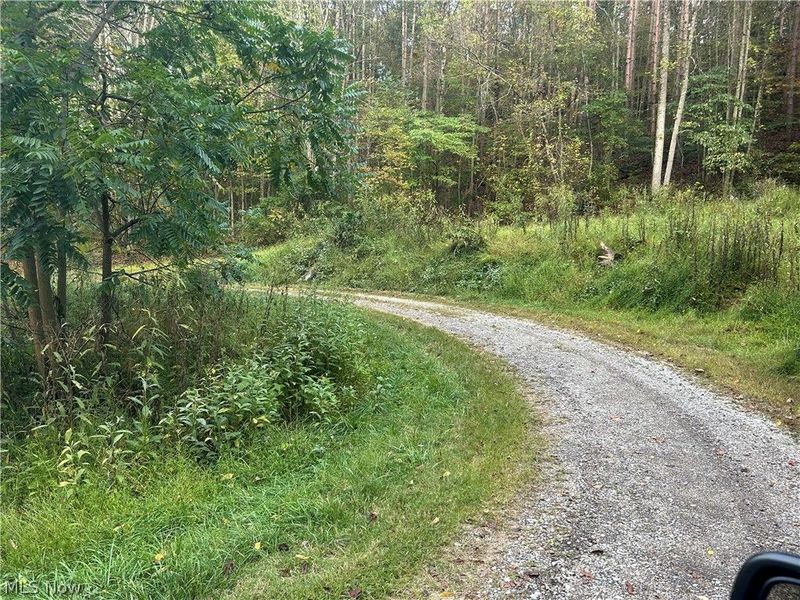 8188 Dozer Road, Cambridge, OH 43725 Photo 10