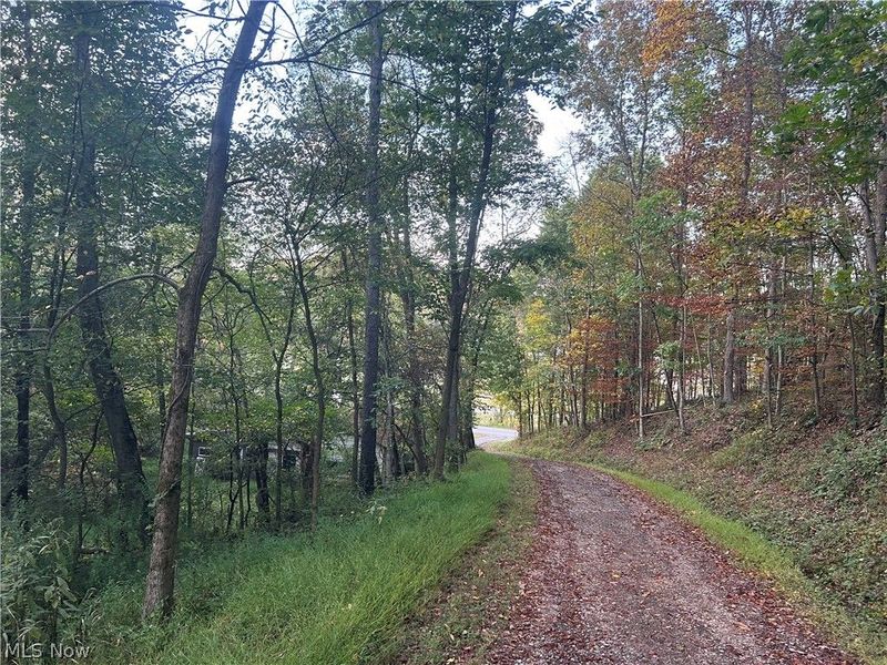 8188 Dozer Road, Cambridge, OH 43725 Photo 7