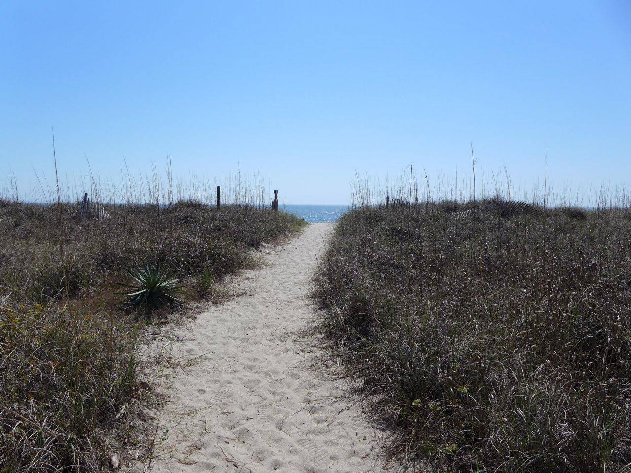 2404 Murray Street Photo 14