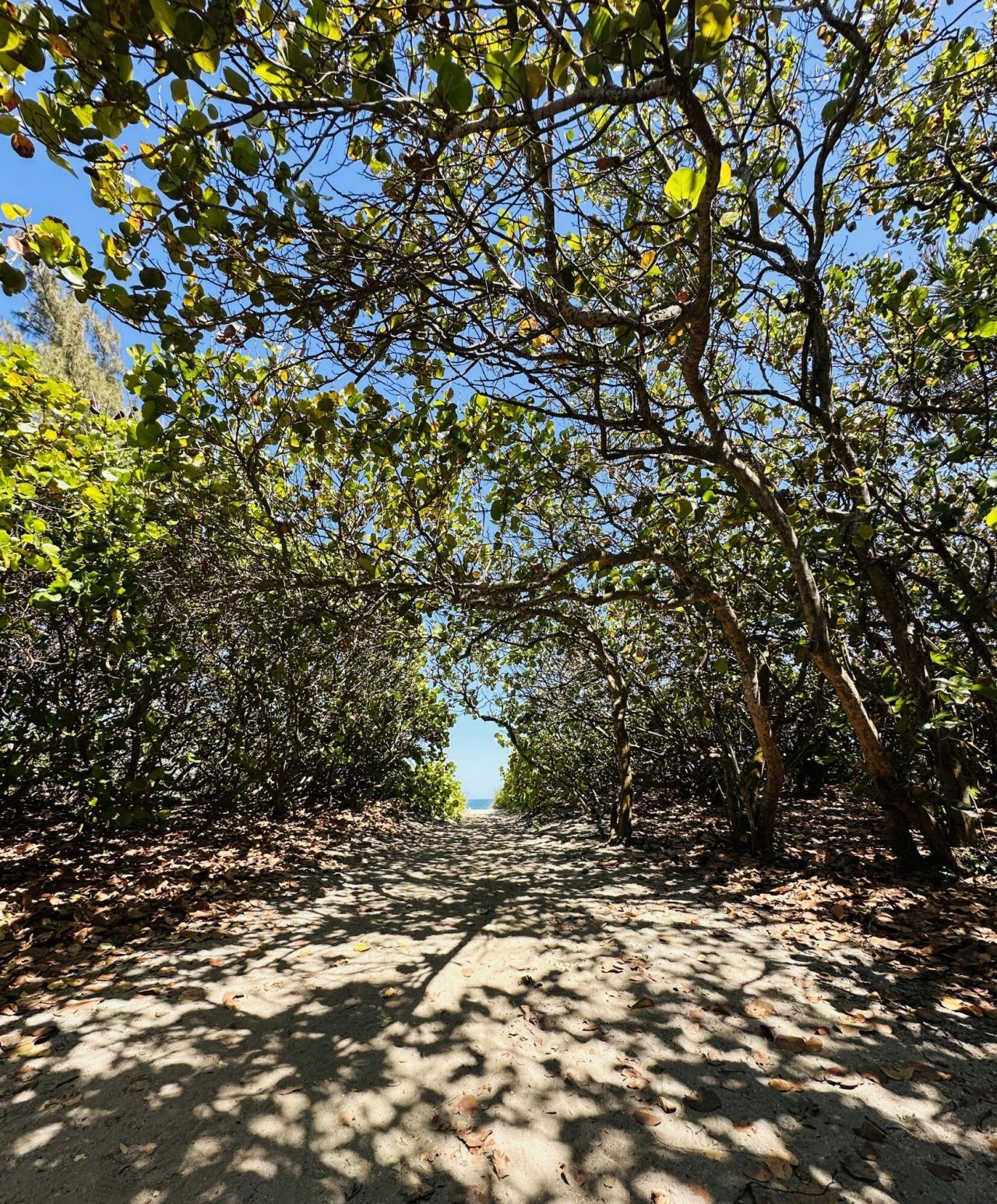 9500 S Ocean Drive, Unit 108, Jensen Beach, FL 34957 Photo