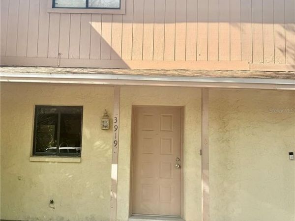 3919 PINE LIMB COURT , TAMPA, FL 33614