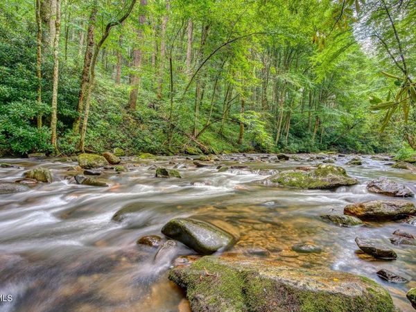 206 Toms Creek Drive, Roan Mountain, TN 37687