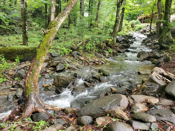 206 Toms Creek Drive, Roan Mountain, TN 37687