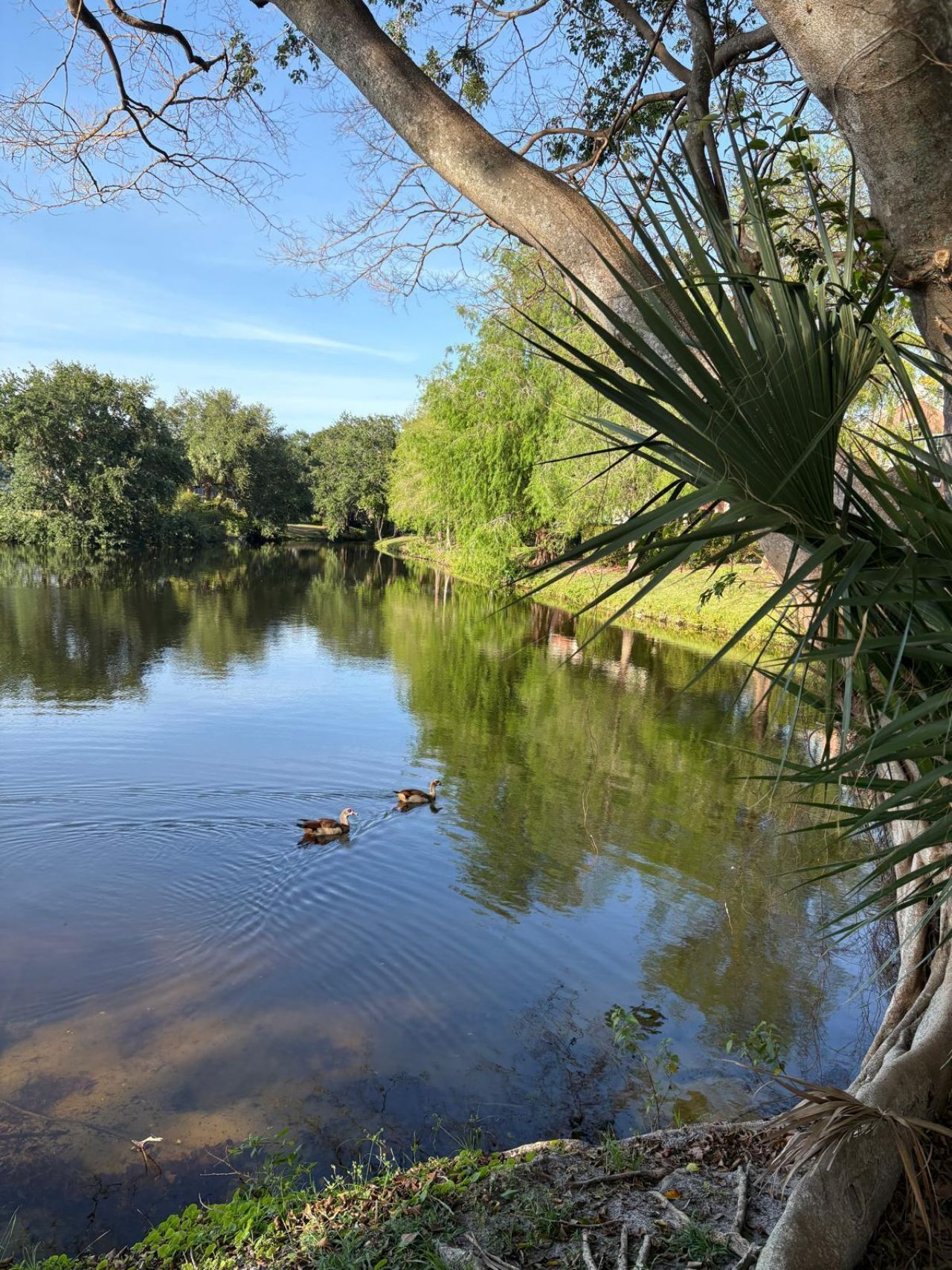 1125 Crystal Way, Unit G, Delray Beach, FL 33444 Photo