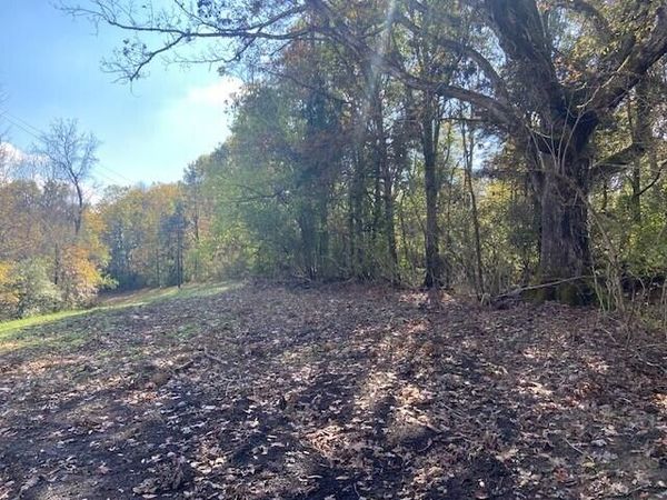 881 Galbraith Road, Brooksville, KY 41004