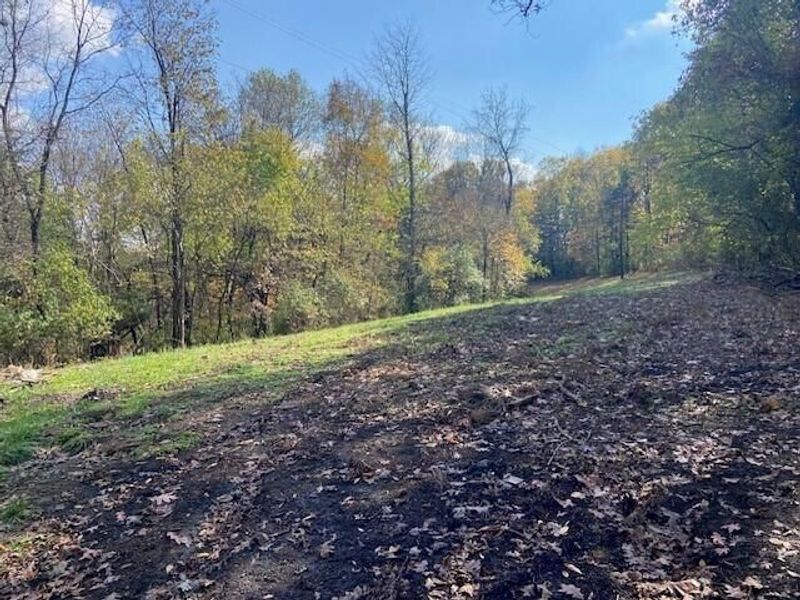 881 Galbraith Road, Brooksville, KY 41004 Photo 2