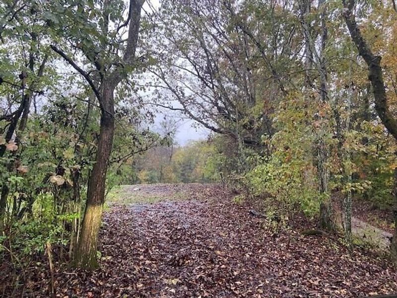 881 Galbraith Road, Brooksville, KY 41004 Photo 3
