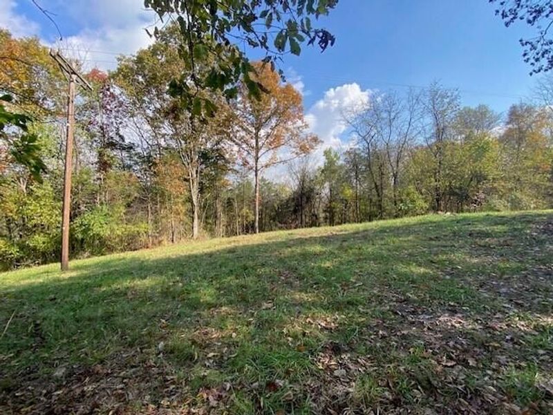 881 Galbraith Road, Brooksville, KY 41004 Photo 4