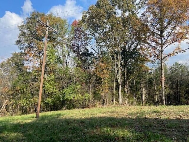 881 Galbraith Road, Brooksville, KY 41004 Photo 5