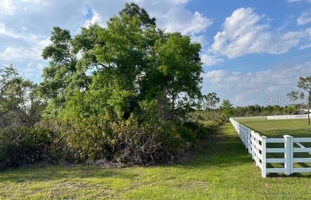 24005 83rd Avenue E, Myakka City, FL 34251 Photo