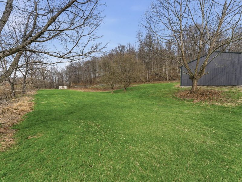 14203 County Road 55 , Mount Perry, OH 43760 Photo 40