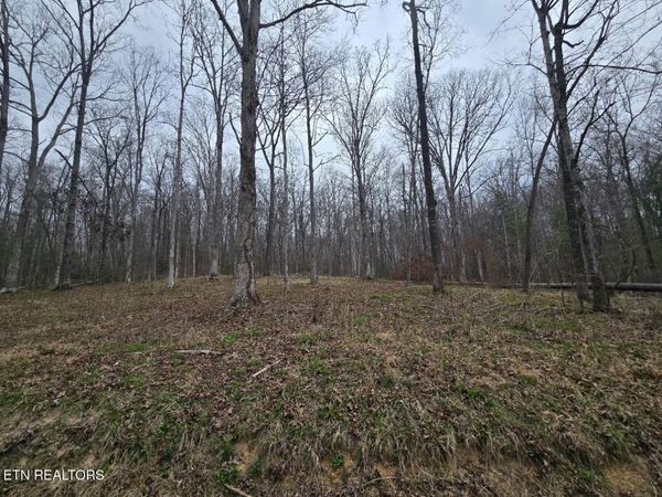 0 Scott-Fentress Co. Line , Allardt, TN 38504