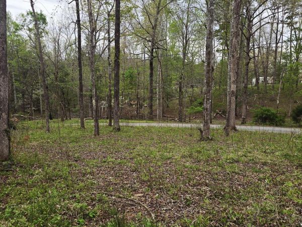 0 Scott-Fentress Co. Line, Allardt, TN 38504