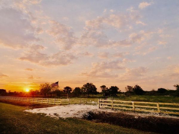 14769 NW 244th Street, Okeechobee, FL 34972