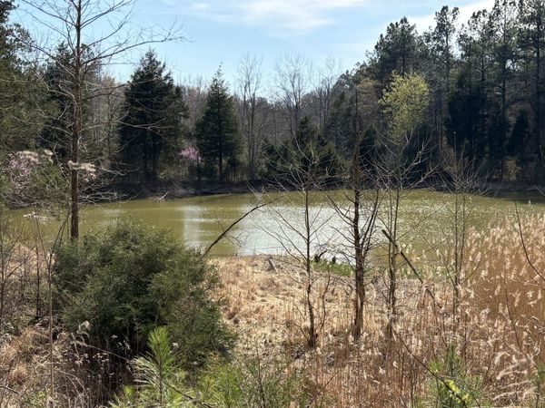 1000 State Route 831, Greenville, KY 42345