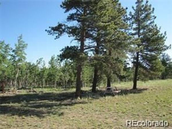 257 Bolster Drive , Hartsel, CO 80449