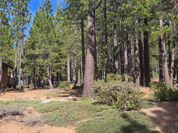 13080 Roundhill Drive, Truckee, CA 96161