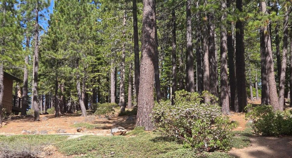 13080 Roundhill Drive, Truckee, CA 96161 Photo