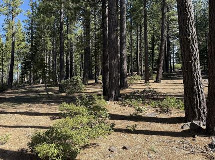 13080 Roundhill Drive, Truckee, CA 96161 Photo