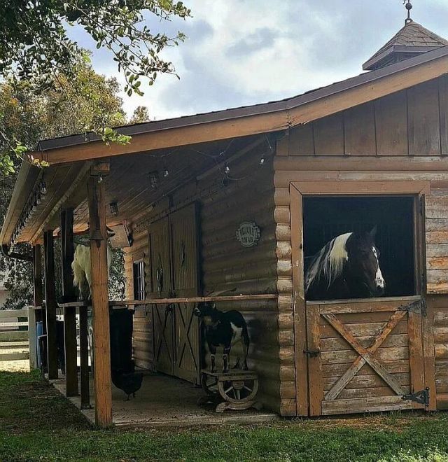 16826 126th Terrace N, Jupiter, FL 33478 Photo