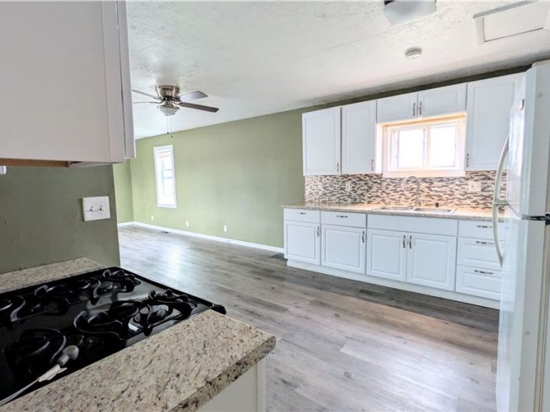 297 Depot Street, Conneaut, OH 44030 Photo 3