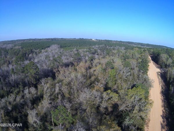 TBD Olivia Drive , Alford, FL 32420