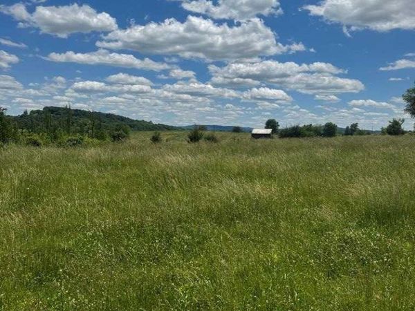 Tract 5 Old Kentucky Road , Hwy 528, Albany, KY 42602