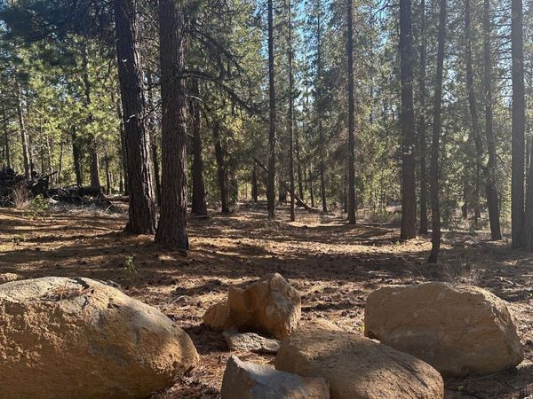 201 Hwy 58, Crescent Lake, OR 97733