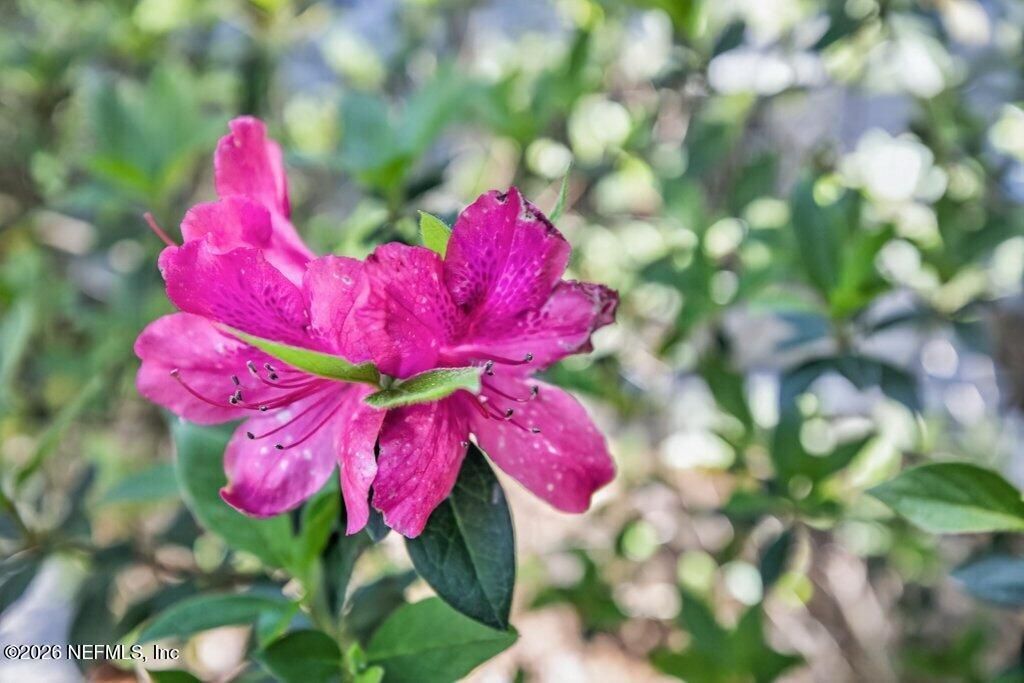 1664 Fairway Ridge Drive, Fleming Island, FL 32003 Photo