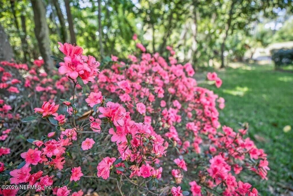 1664 Fairway Ridge Drive, Fleming Island, FL 32003 Photo