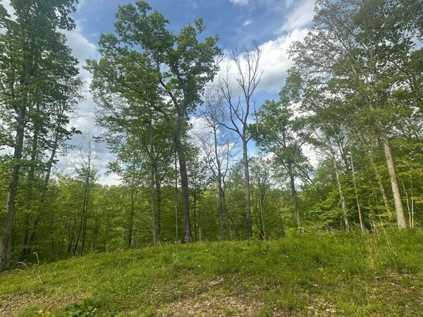 0 N Lasalle Road, Morgantown, IN 46160