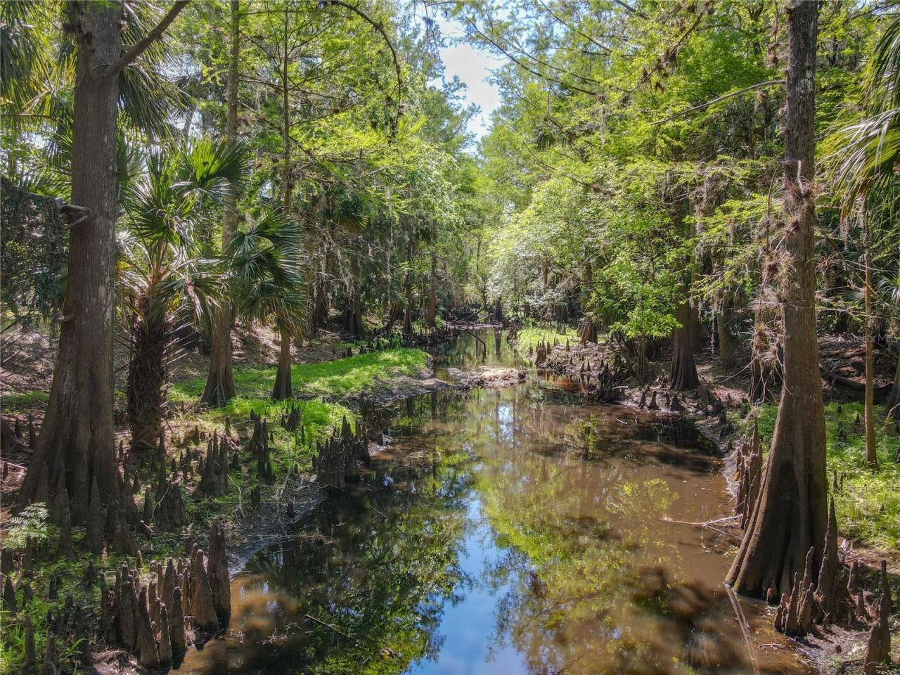 1501 Ashby Creek Road, Osteen, FL 32764 Photo