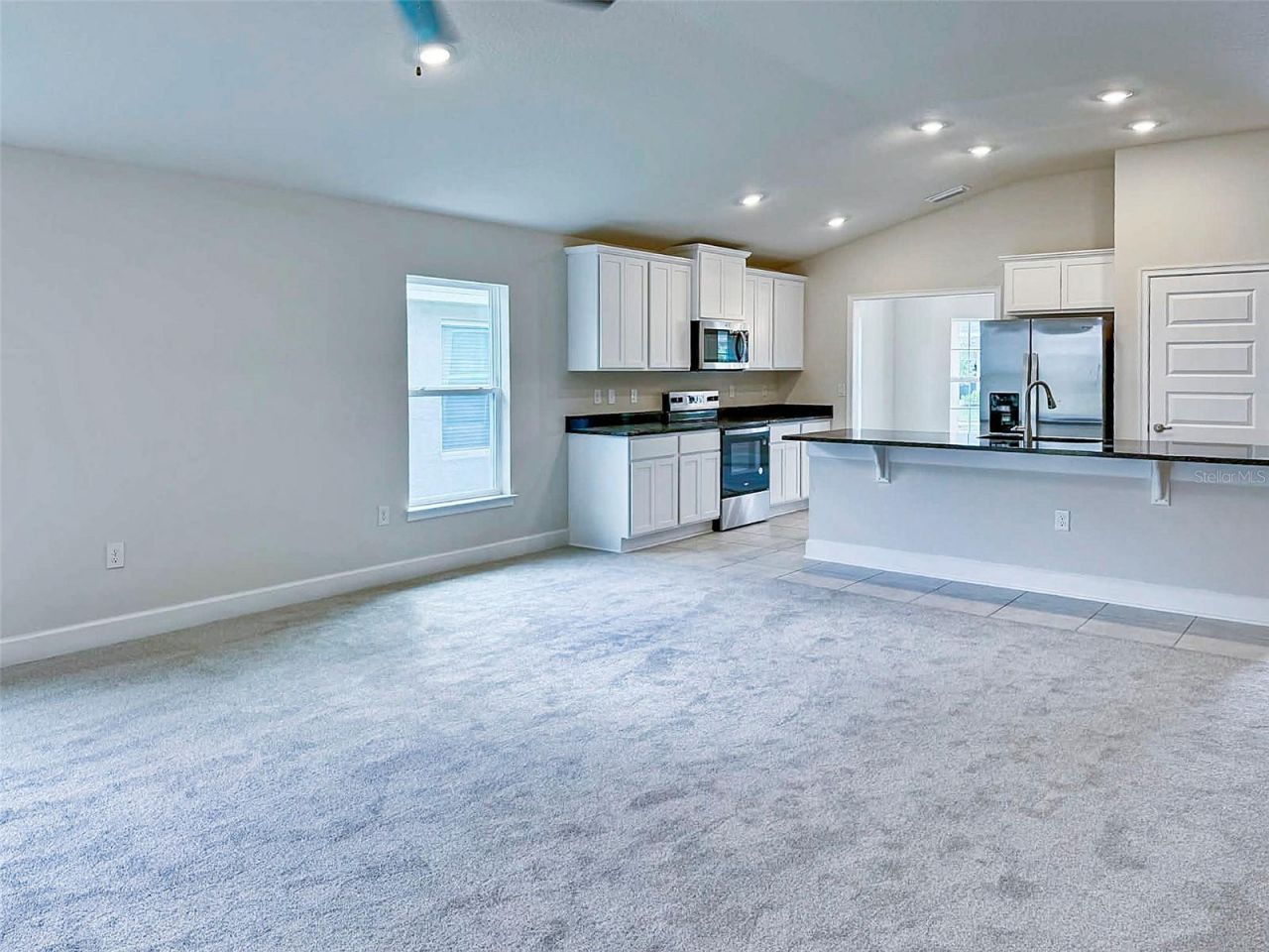 1643 Ann Rose Way, Leesburg, FL 34748 Photo