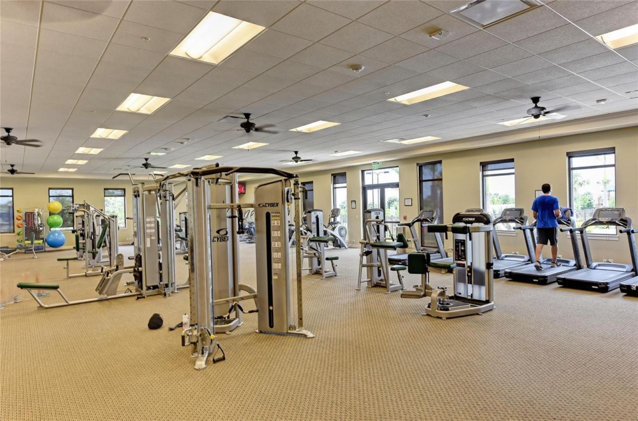 10832 Whisk Fern Drive, Venice, FL 34293 Photo