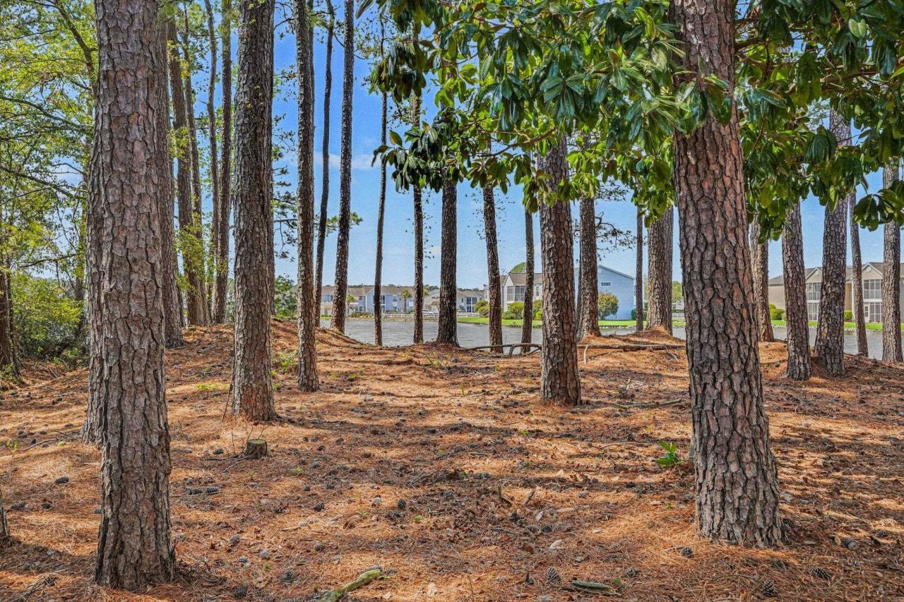 140-i Spanish Oak Ct.  Photo 30