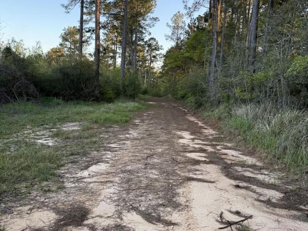 0 Stanford Lake, Poplarville, MS 39470