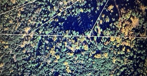 4368 Eazy Bird Way, Wilseyville, CA 95257 Photo