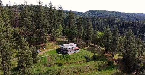 4368 Eazy Bird Way, Wilseyville, CA 95257 Photo