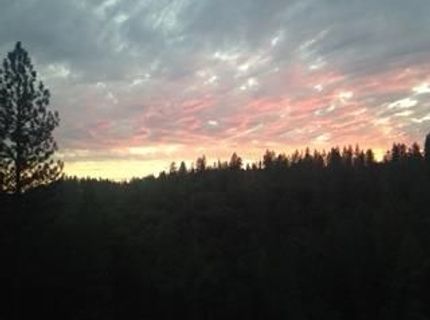 4368 Eazy Bird Way, Wilseyville, CA 95257 Photo