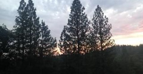 4368 Eazy Bird Way, Wilseyville, CA 95257 Photo