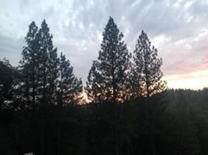 4368 Eazy Bird Way, Wilseyville, CA 95257 Photo