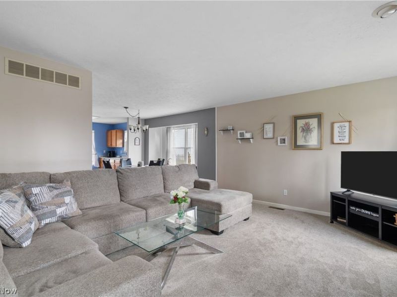 10406 Village Drive, Garrettsville, OH 44231 Photo 5