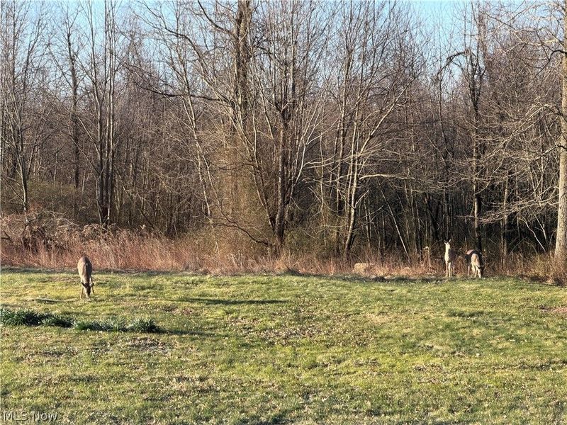 36261 Butcher Road, Salem, OH 44460 Photo 34