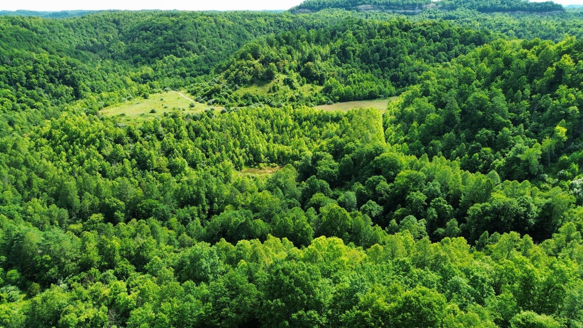 3800A Butcher Hollow Rd, Van Lear, KY 41265