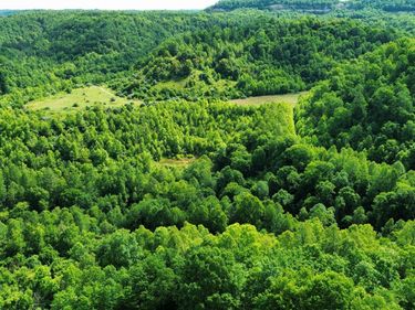 3800A Butcher Hollow Rd, Van Lear, KY 41265