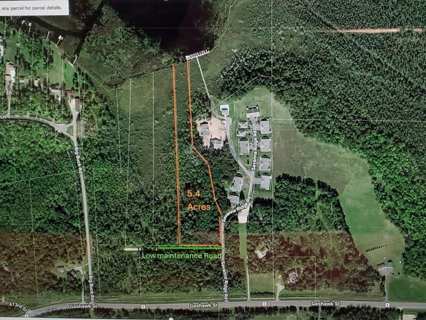 TBD Goshawk Street , McGregor, MN 55760