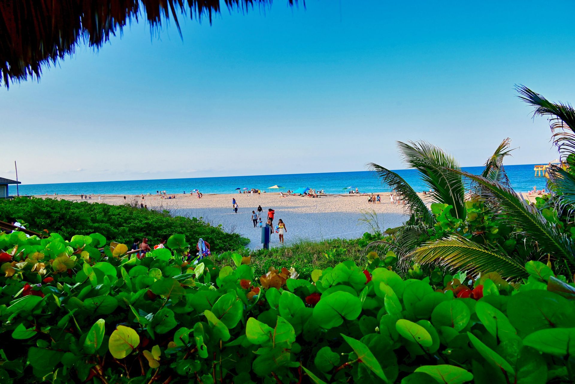 126 Faith Way, Jupiter, FL 33458 Photo